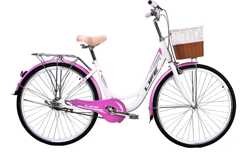 xe đạp mini Nhật 20.8